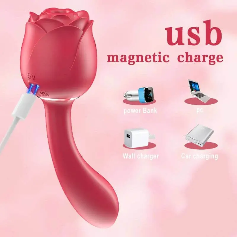 Roselle Arc rose toy — full product view showing its shape and controls
