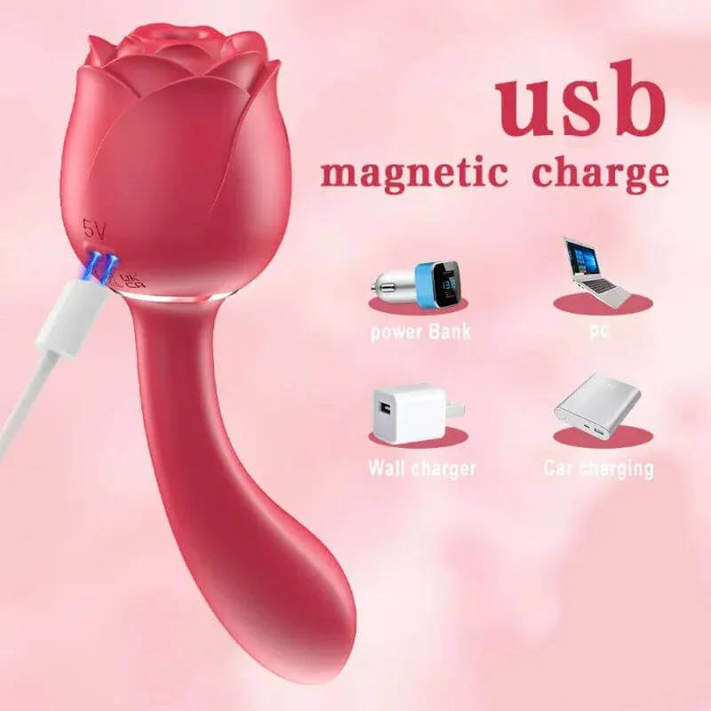 Roselle Arc Rose Suction Wand — magnetic charging connection