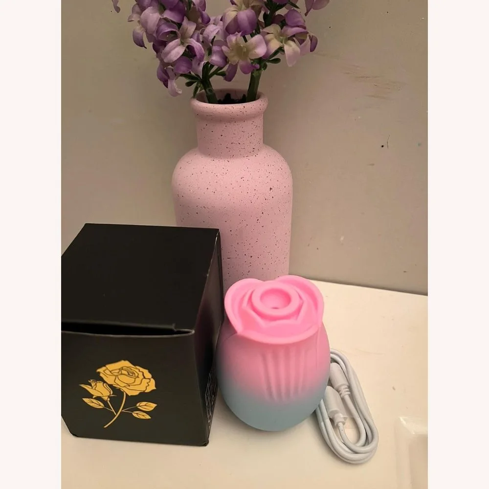 Roselle Blush Rose Suction Vibrator — rose suction vibrator beside generic rose box and USB cable