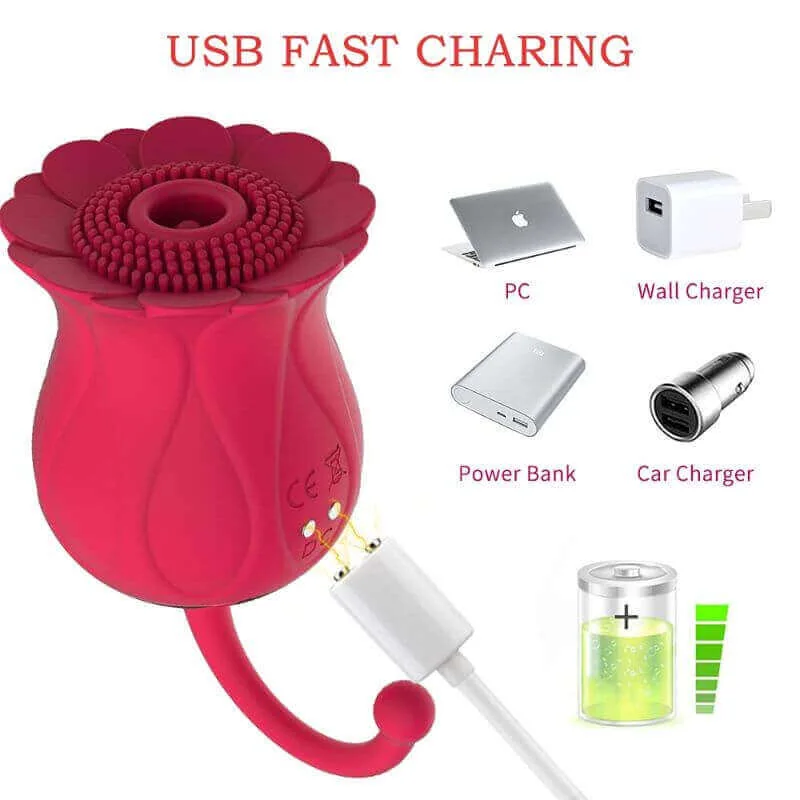 Roselle Curl Rose Suction Egg Vibrator — charging connection