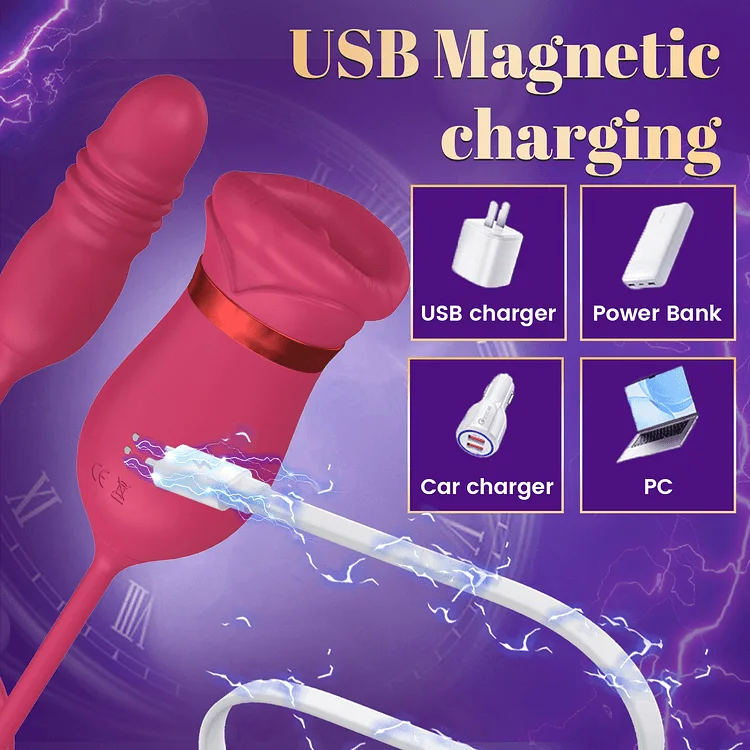 Roselle Embrace Rose Vibrator with Thrusting Dildo — magnetic USB charging connection diagram