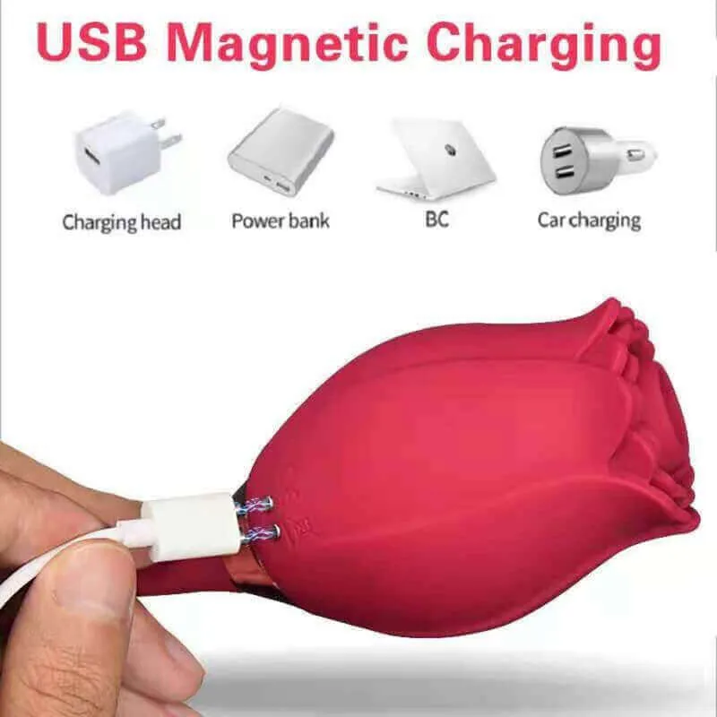 Roselle Muse rose toy — rose-shaped device with connected secondary contact