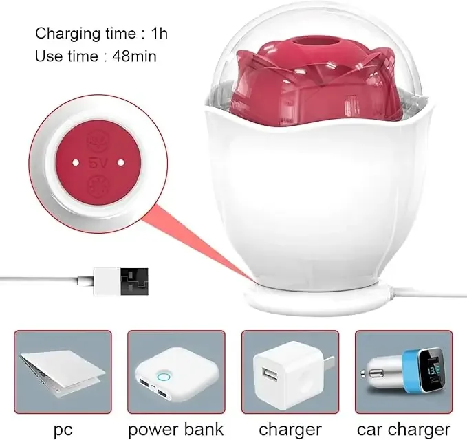 Roselle Nest Compact Rose Suction Toy — charging port and cable