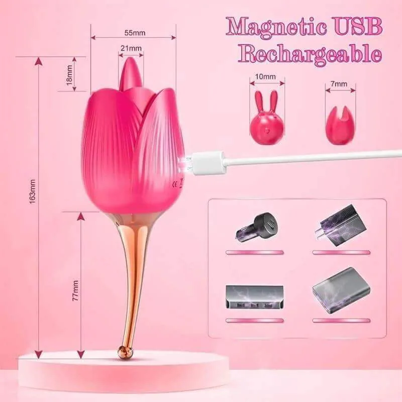 Roselle Tendril Rose Tongue Egg Vibrator — dimensions and charging connection